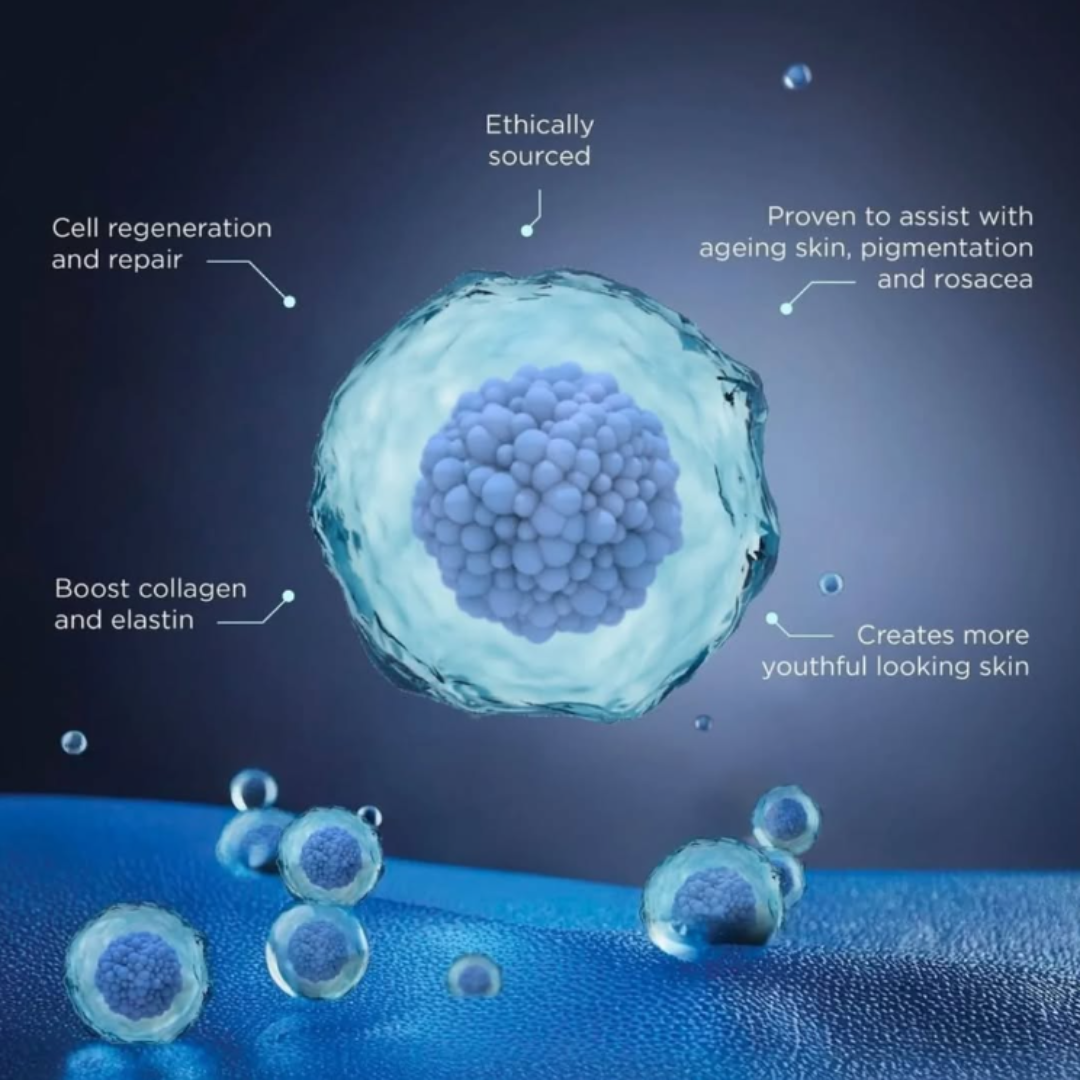 Exosomes Explained: Revolutionizing Hair Growth and Skin Health with EXO-GROW and EXO-SKIN™