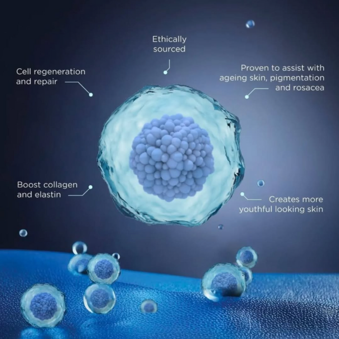 Exosomes Explained: Revolutionizing Hair Growth and Skin Health with EXO-GROW and EXO-SKIN™